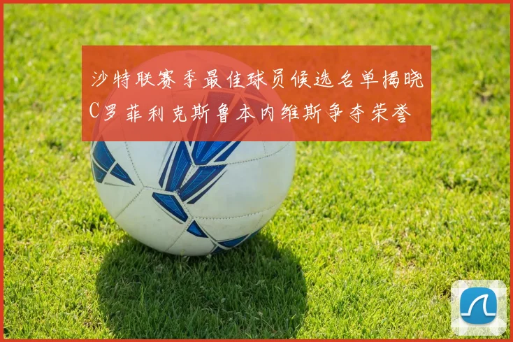 沙特联赛季最佳球员候选名单揭晓C罗菲利克斯鲁本内维斯争夺荣誉