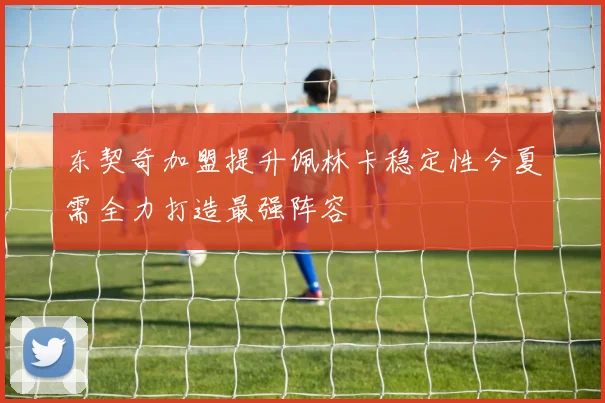 东契奇加盟提升佩林卡稳定性今夏需全力打造最强阵容