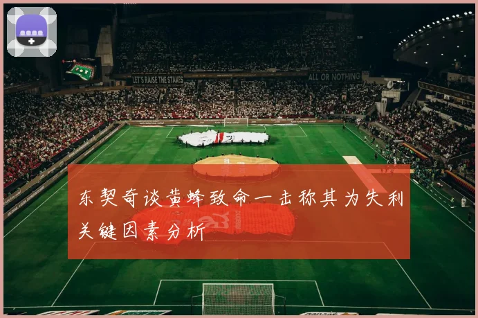 东契奇谈黄蜂致命一击称其为失利关键因素分析