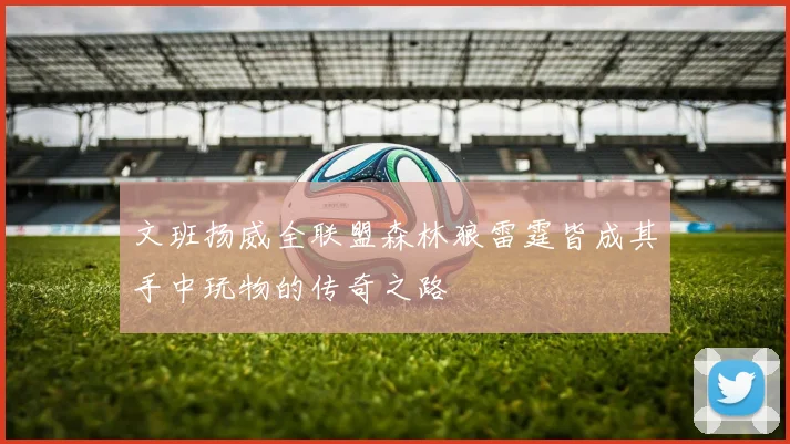 文班扬威全联盟森林狼雷霆皆成其手中玩物的传奇之路